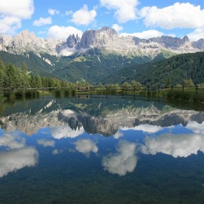 皇冠新体育app下载截图